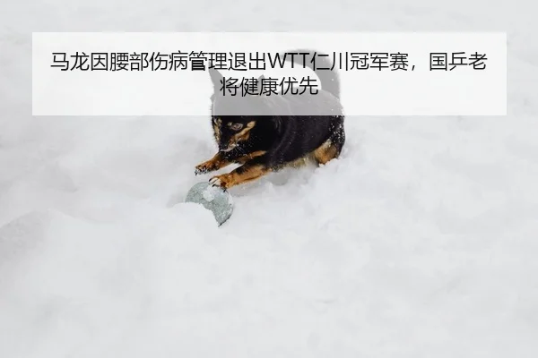 马龙因腰部伤病管理退出WTT仁川冠军赛，国乒老将健康优先